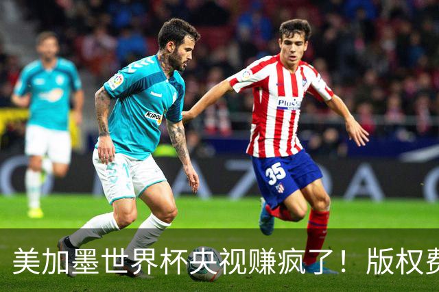美加墨世界杯央视赚疯了！版权费仅6000万美元，收入或破80亿大关